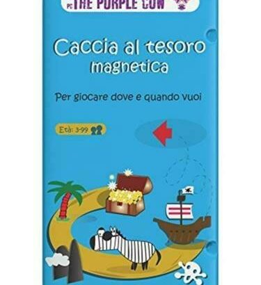 CACCIA AL TESORO GIOCO MAGNETICO