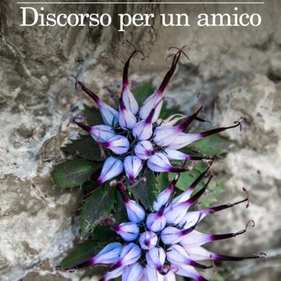 DISCORSO PER UN AMICO