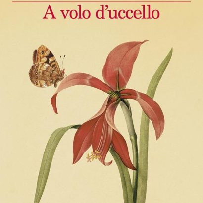 A VOLO D'UCCELLO
